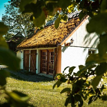 Вилла Paerdi Suvemaja Koguva Экстерьер фото